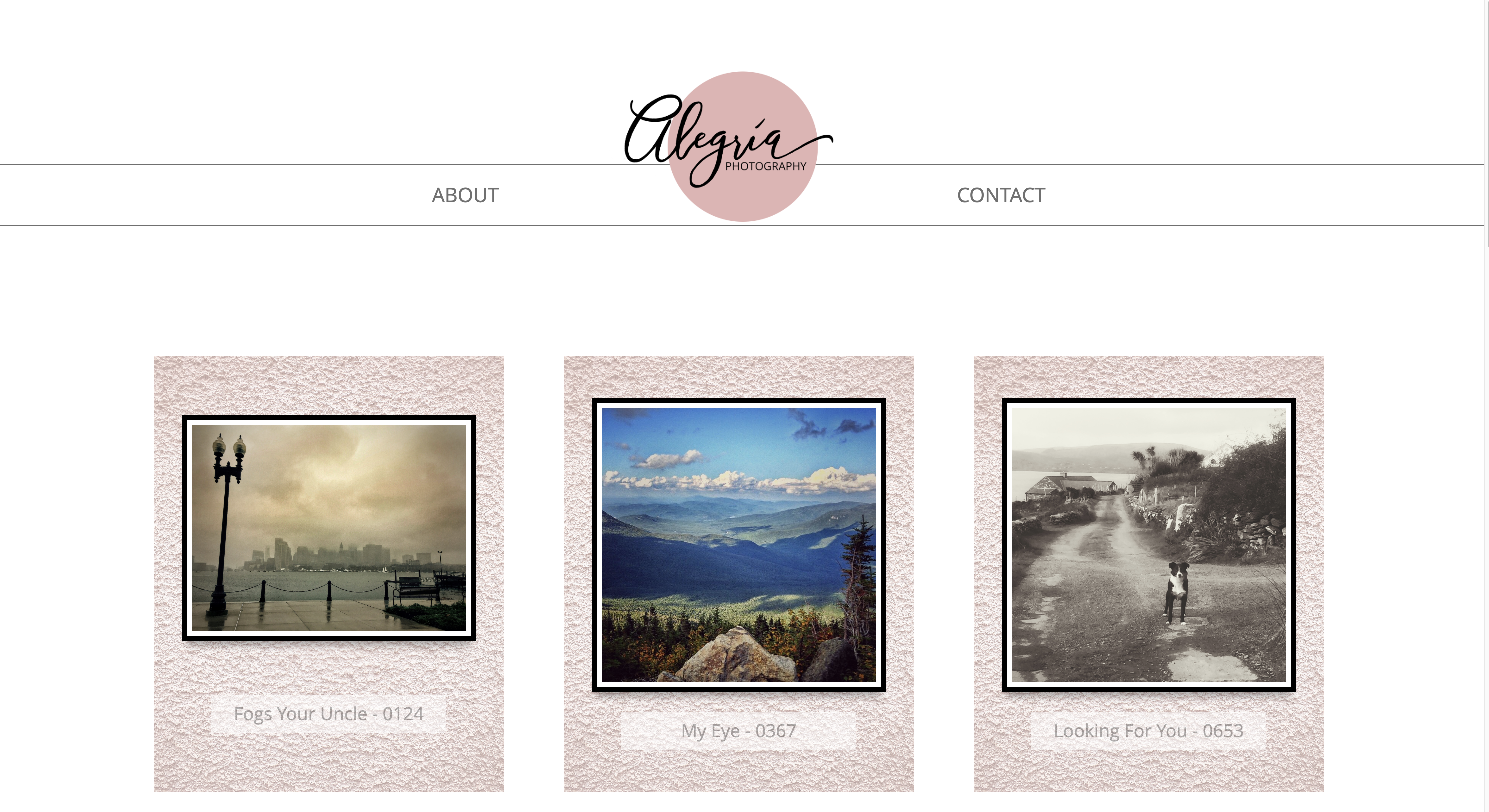 Alegria Photography Website Snapshot